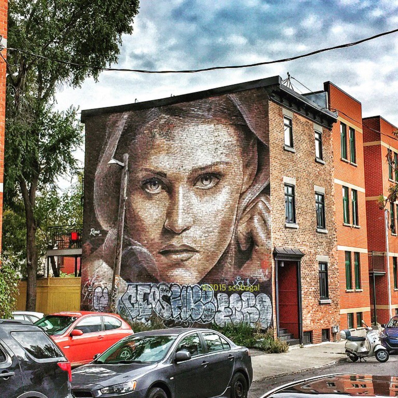 ThisScubaGal: The Walkflower | #Montreal #art #graffiti #streetart #streetphotography https://t.co/NzqkNrV7Dl https://goo.gl/t4fpx2