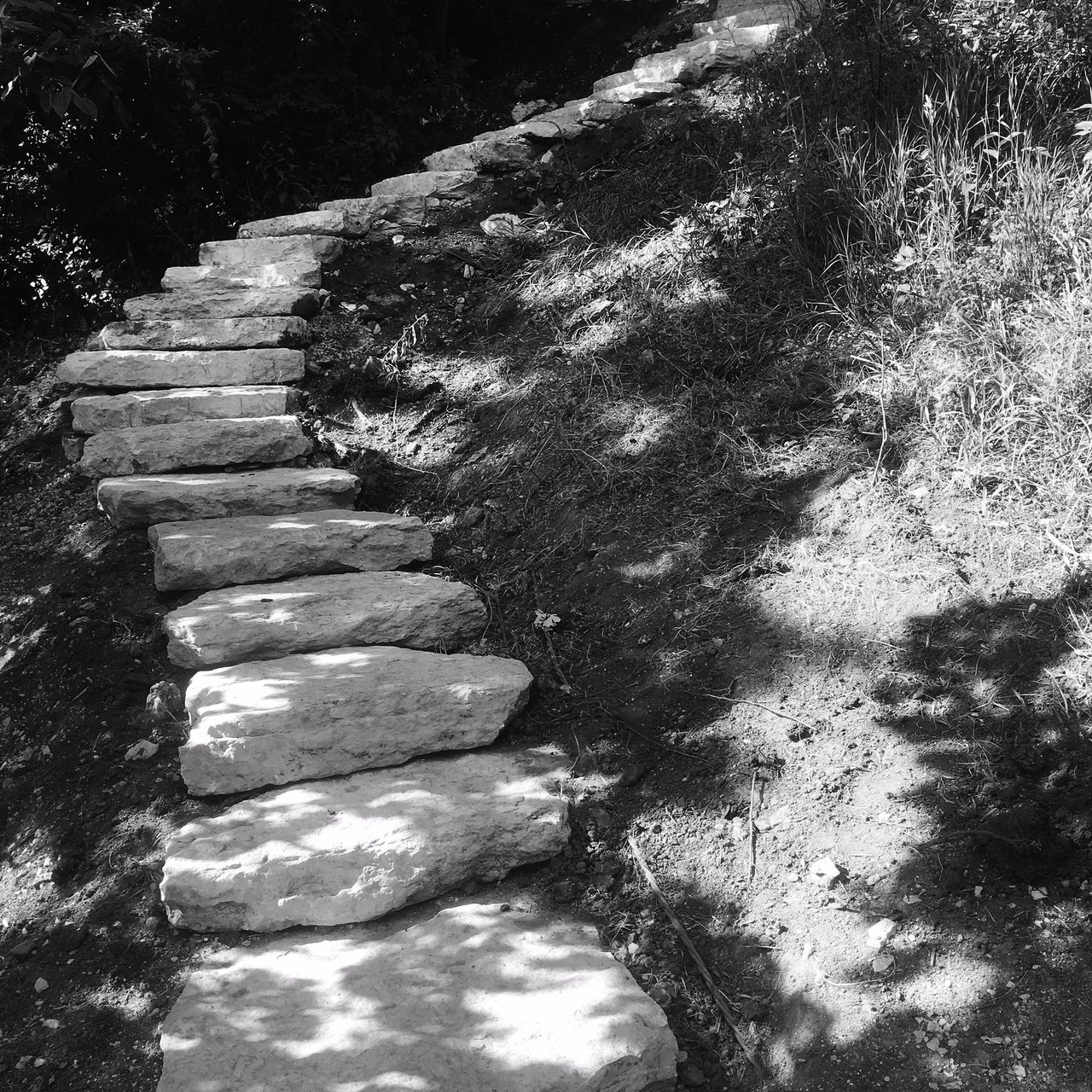 The "Grand Staircase" is well under way. #drystone #driftlessdrystone #staircase https://t.co/xMADxD1Guj