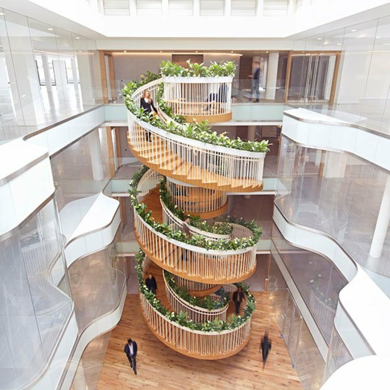 How we helped @PaulCocksedgeST deliver his vision for a living spiral #staircase: http://bit.ly/1RZV34U https://t.co/FwseW5kv1i