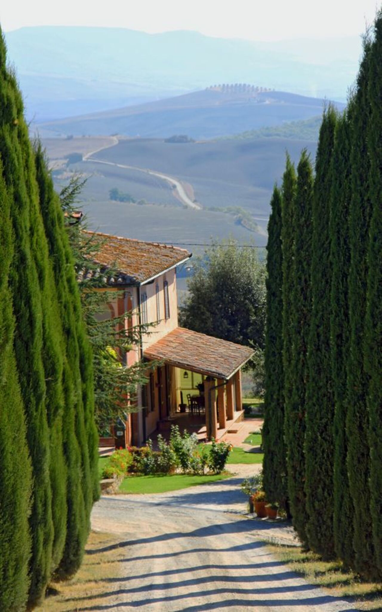 A cedar-lined approach to this farmhouse in #Tuscany's Val d'Orcia: https://t.co/iHct72grWS