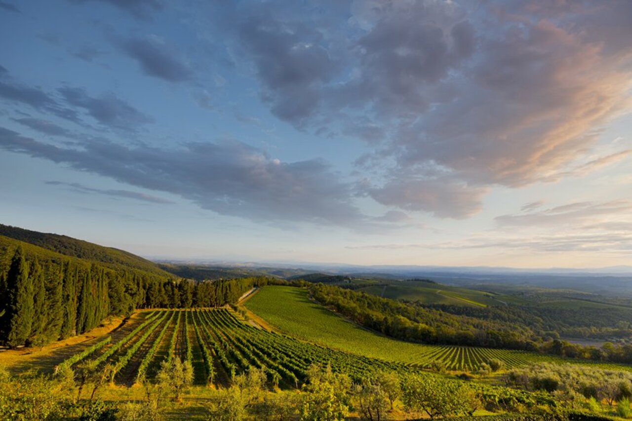 Are you a wine lover? Follow the road: 3 wine tours you must take in #Tuscany http://bit.ly/TuscanyWineTours https://t.co/GSc2thf7Ax