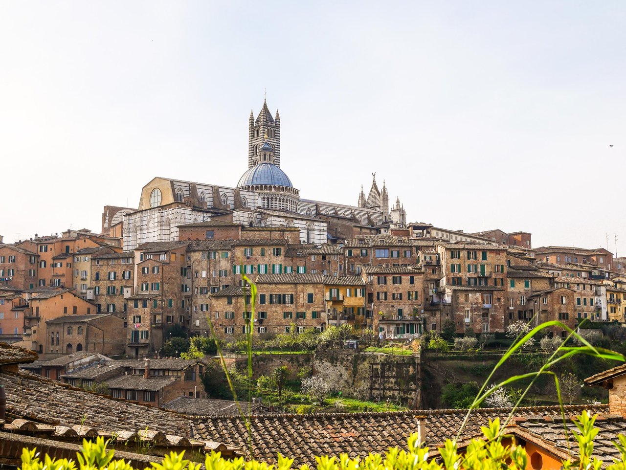 Siena Walking Tours: A Must-Do in Tuscany http://bit.ly/2pgtVrA #tuscany https://t.co/cJIXdrAM3Z