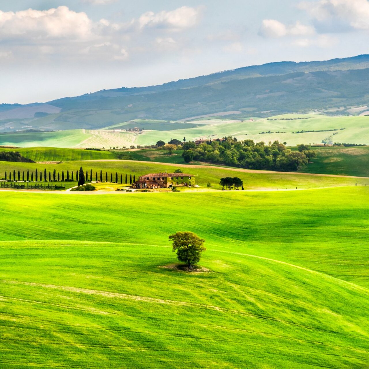 Tuscany, Italy <3So beautiful, who would you bring here?#italy #travel #tuscany https://t.co/JuC8mauL2s