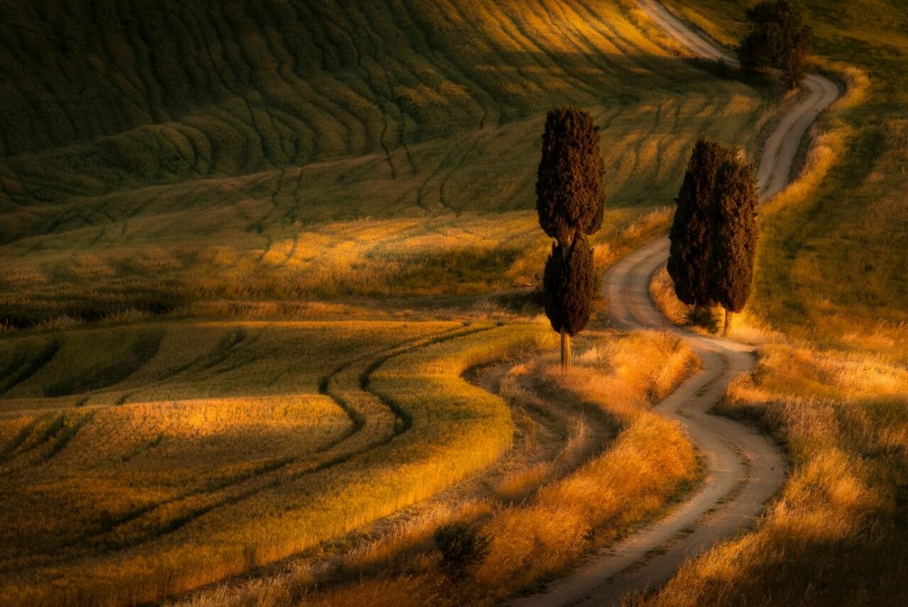 Le dolci colline toscane#Tuscany https://t.co/YCDE2xu3x4
