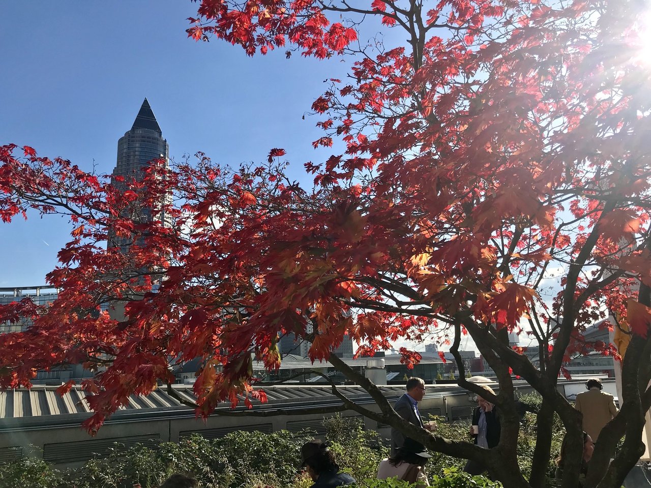 In 30 years of Frankfurt book fairs, I’ve never known such good weather! #fbm17 #fbf17 https://t.co/25ykj7DPq8