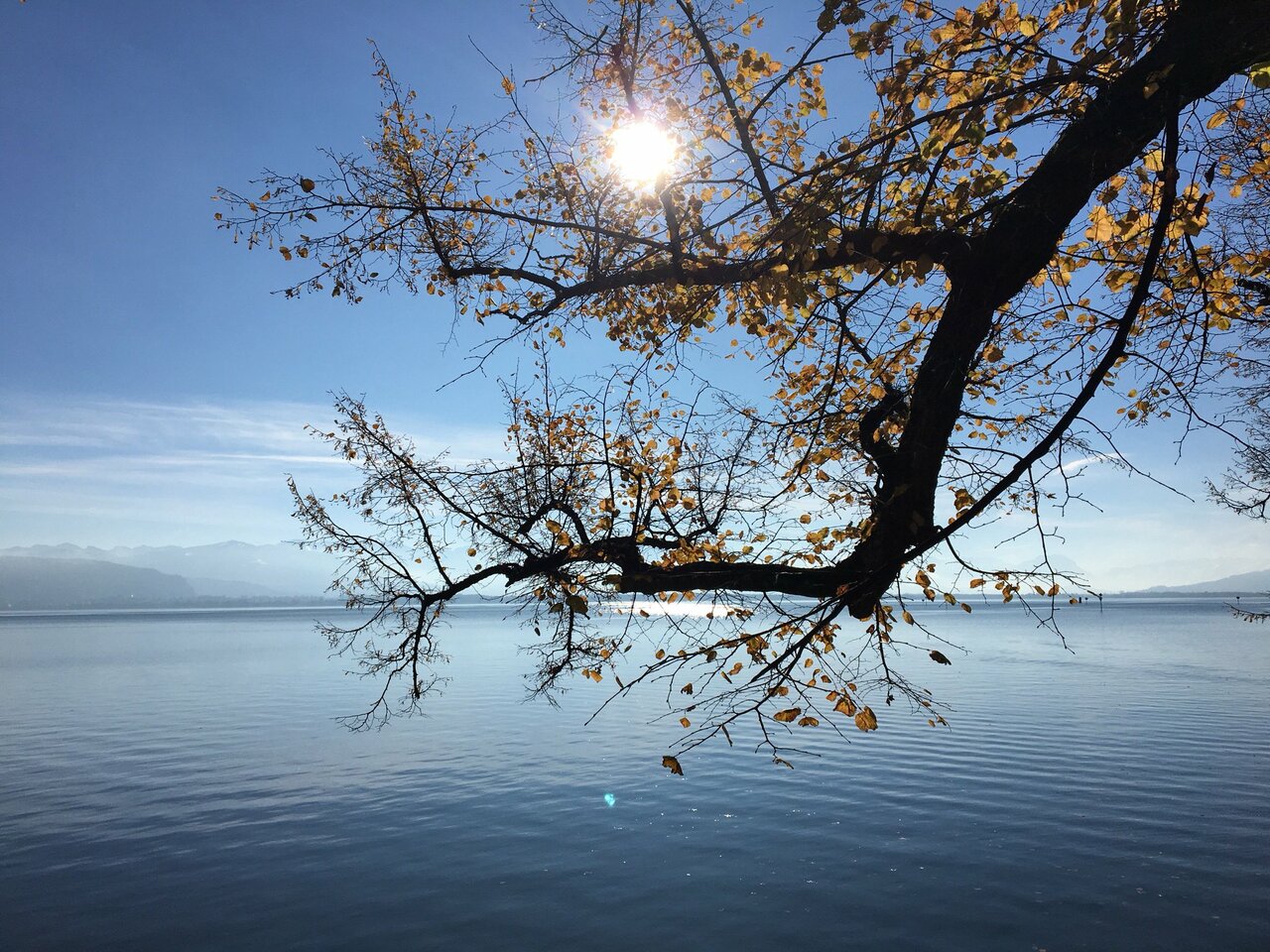 Dabei gab es diese Woche am Bodensee wie hier am Mittwoch in Lindau auch solches sonniges Wetter.#Bodensee #Lindau https://t.co/qjh68cpoLV